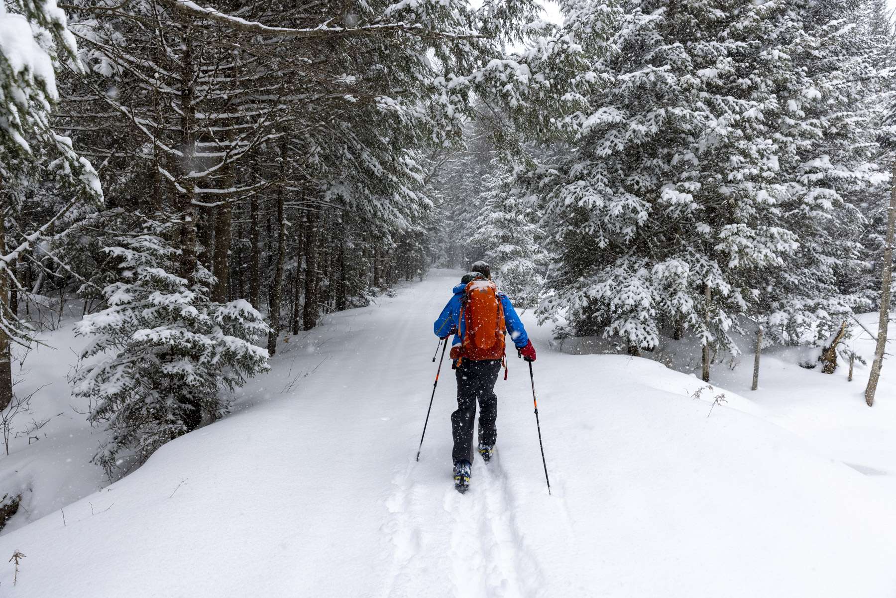 Backcountry ski at Jenkins Mountain