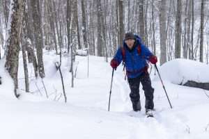 Jenkins Mountain backcountry ski trails: A forest preserve model?