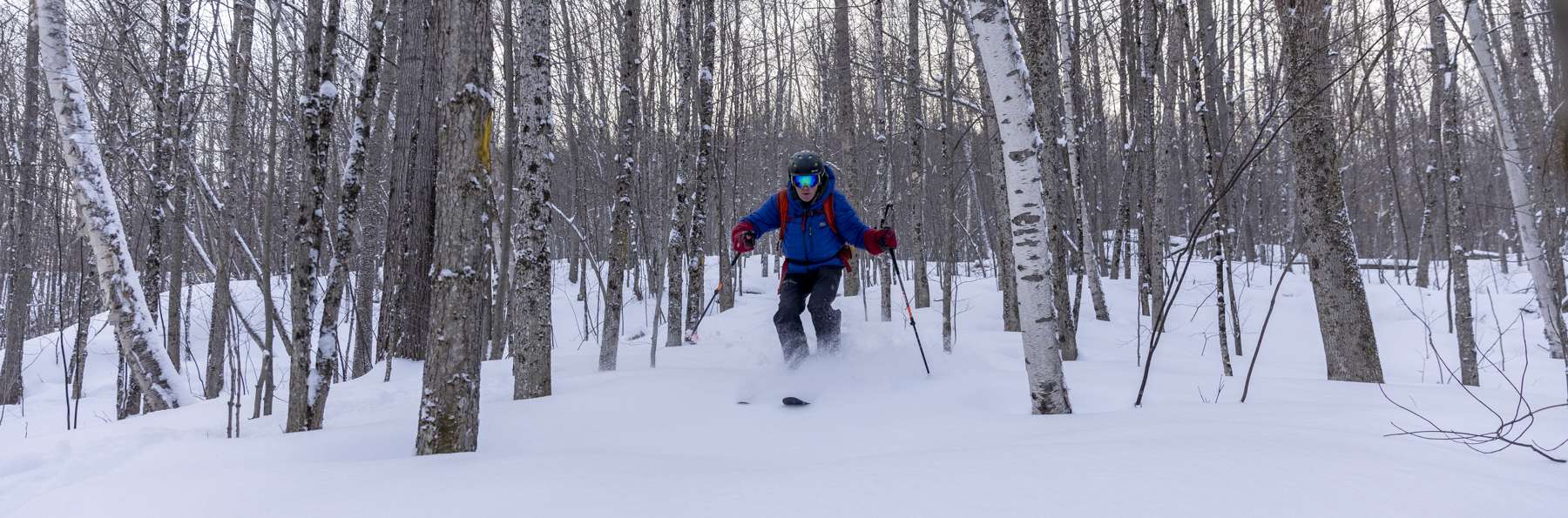 Ron Konowitz skis through the trees on the new backcountry trails at the Paul Smith's College VIC.