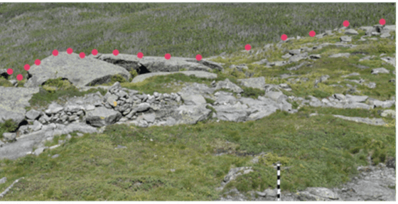 alpine vegetation in 2021