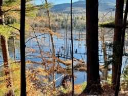 The beaver Pond From Bluff Trail. Tim Rowland photo