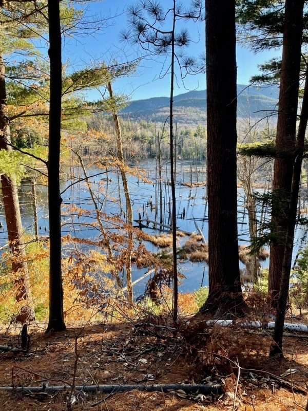 Flume Knob hike: beaver Pond From Bluff Trail. Tim Rowland photo