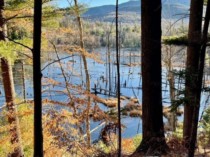The beaver Pond From Bluff Trail. Tim Rowland photo