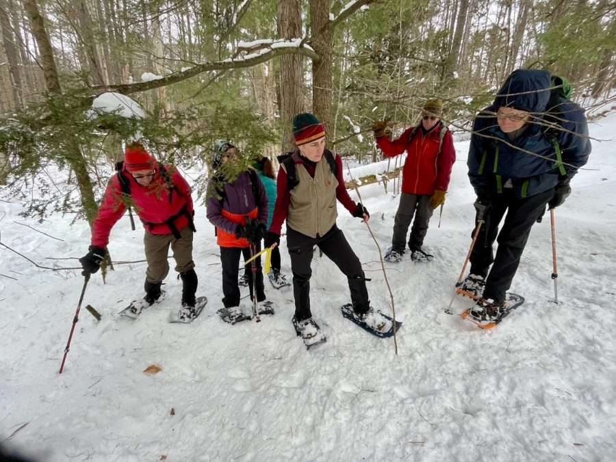 Spiders in winter? - Adirondack Explorer