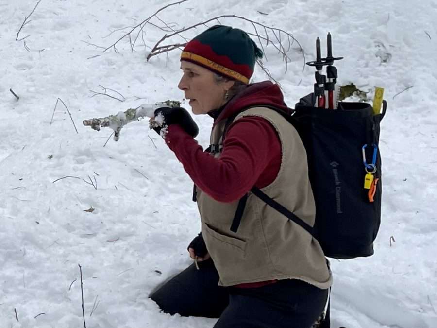 Guide Elizabeth Lee breathes on a stick to warm it to better detect scent potentially left by a predator, as part of a session on animal tracking
