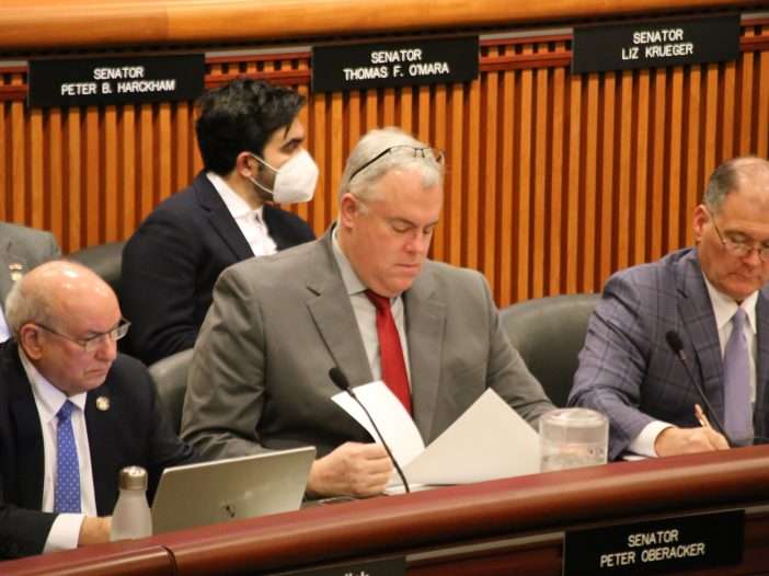 State Sen. Dan Stec reads papers during the 2023 joint budget hearing on agriculture, environmental conservation and energy