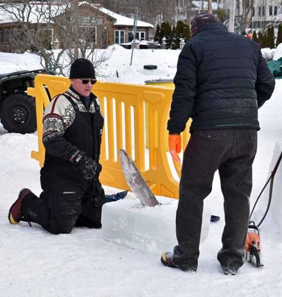 Ice palace fish