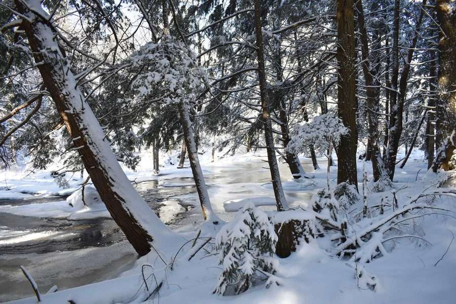 A snowy scene in the woods. Wood’s Trail near South Colton winds along Warm Brook, a tributary of Higley Flow and the Raquette River with headwaters in the northwestern Adirondacks. 
