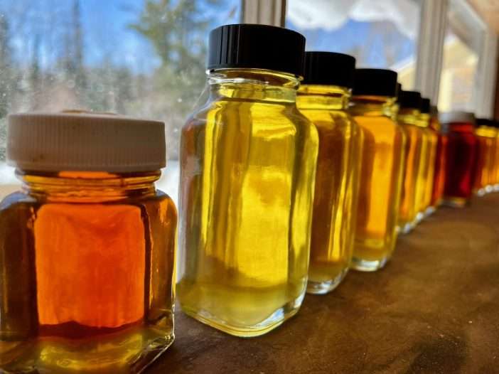 Bottles of different shades of maple syrup at Cornell University’s Uihleich maple research forest.