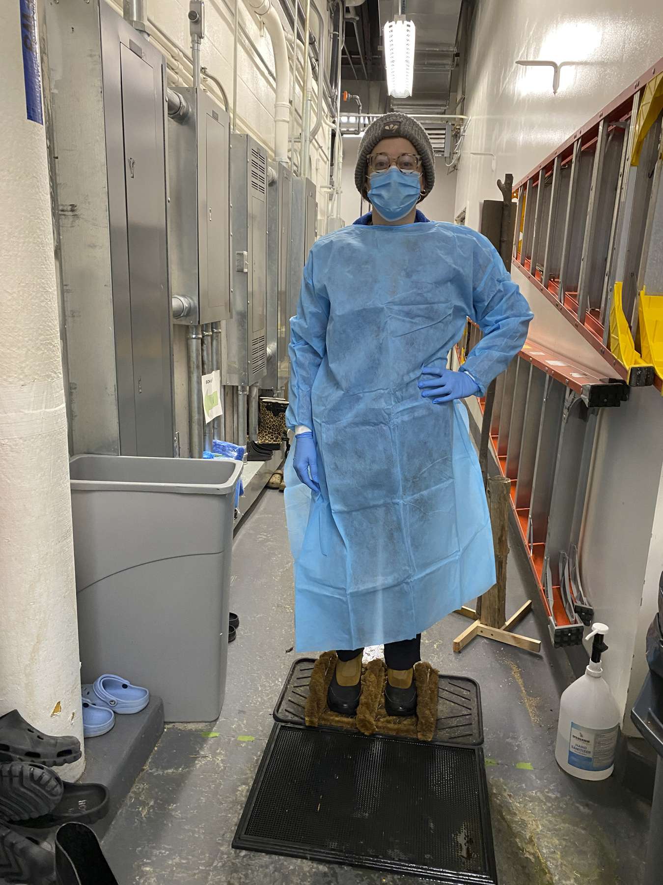 Leah Valerio, curator at the Wild Center, poses in her scrubs used to prevent the spread of avian flu. Photo courtesy of Wild Center