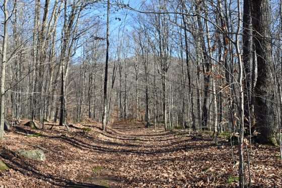 All-season access to a former fire tower mountain