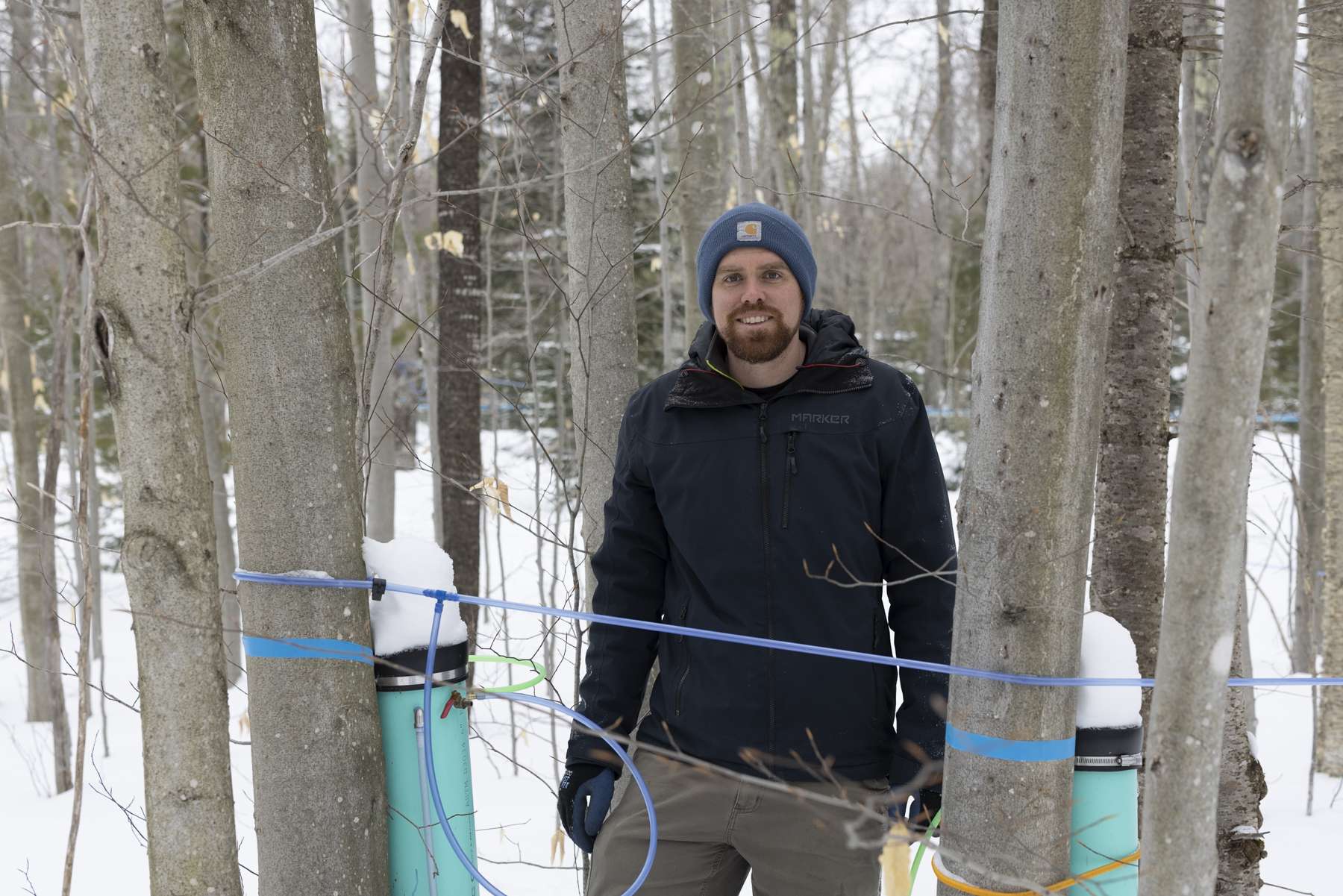 Adam Wild, director of the Uihlein Maple Research Forest in Lake Placid, stands in between some tapped beech trees. Photo by Mike Lynch