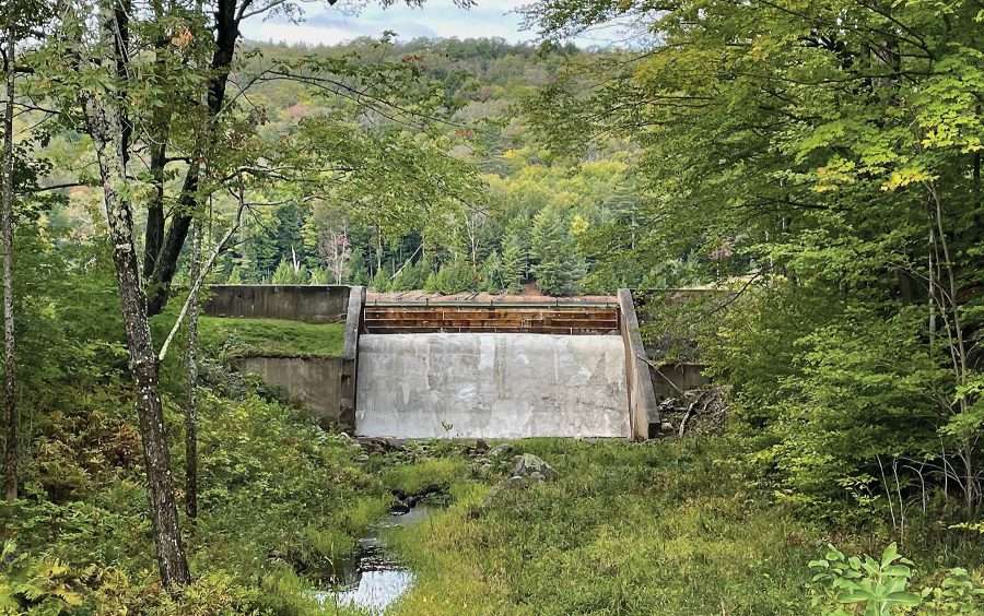 Dam surrounded by greenery, trees