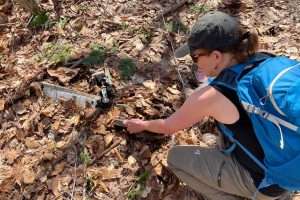 Tracking down plane wreckage