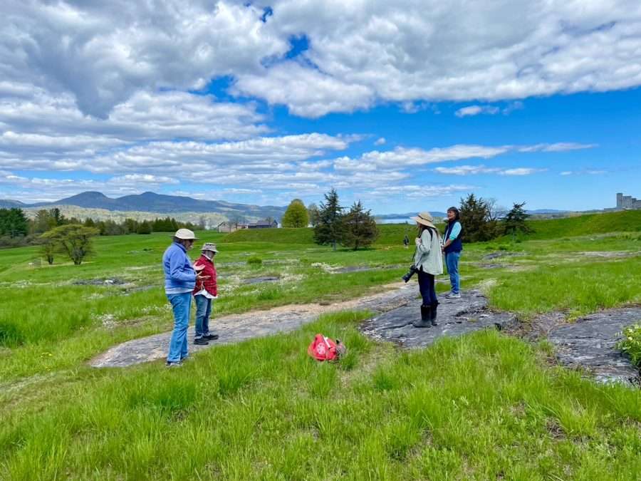 The Adirondack Garden Club does some fossils hunting after planting Crown Point beds on Love Your Park day.
