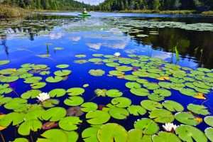 Portage with purpose, on the Marion River
