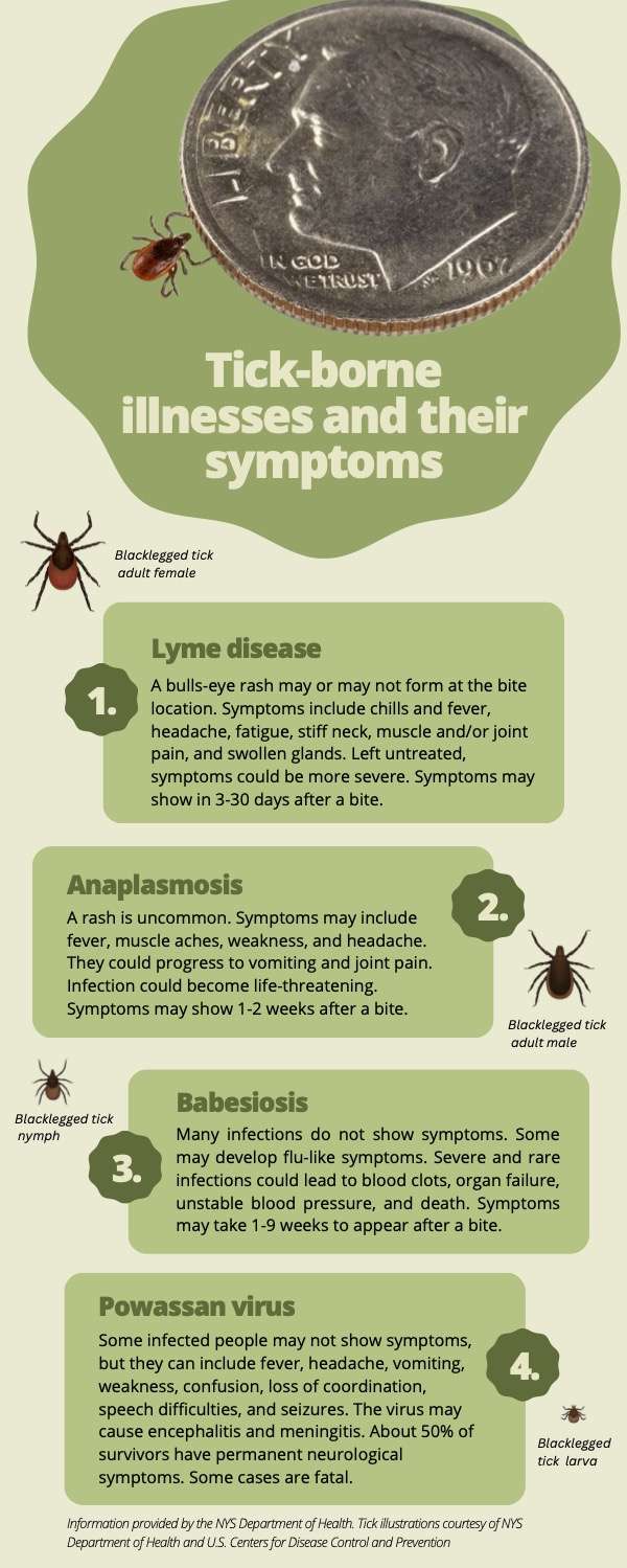 An infographic shows what different stages of the blacklegged tick look like. It also includes symptom information about Lyme disease, anaplasmosis, babesiosis and Powassan virus.