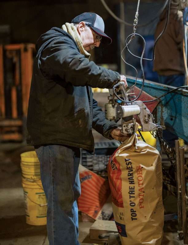 man packing potatoes