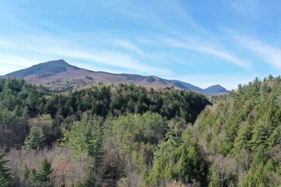 Land trust buys 137 acres near High Peaks Wilderness