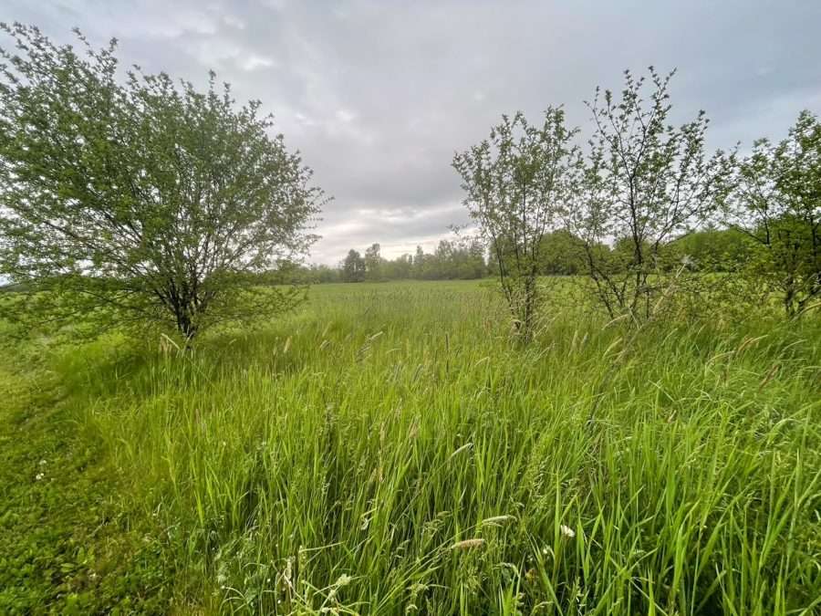 Fireman’s field, proposed site of a apartment development in Ticonderoga.
