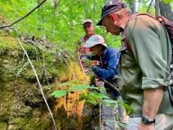 Ray Curran, Ruth Brooks and Tom Phillips identify mosses near Poke-O-Moonshine.