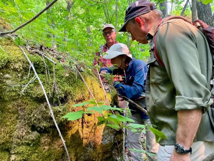 Ray Curran, Ruth Brooks and Tom Phillips identify mosses near Poke-O-Moonshine.