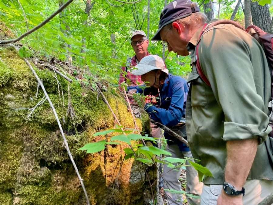 Ray Curran, Ruth Brooks and Tom Phillips identify mosses near Poke-O-Moonshine.
