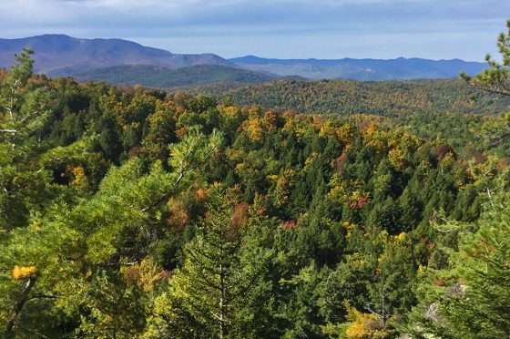 Northeast Wilderness Trust makes plans to create Moriah wilderness preserve