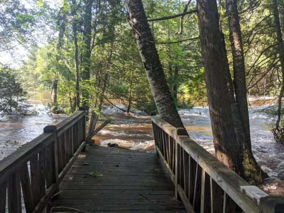 How wet was July? Record-breaking