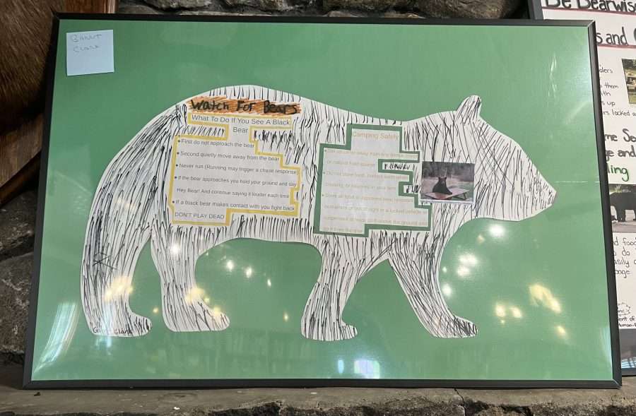 bear education poster