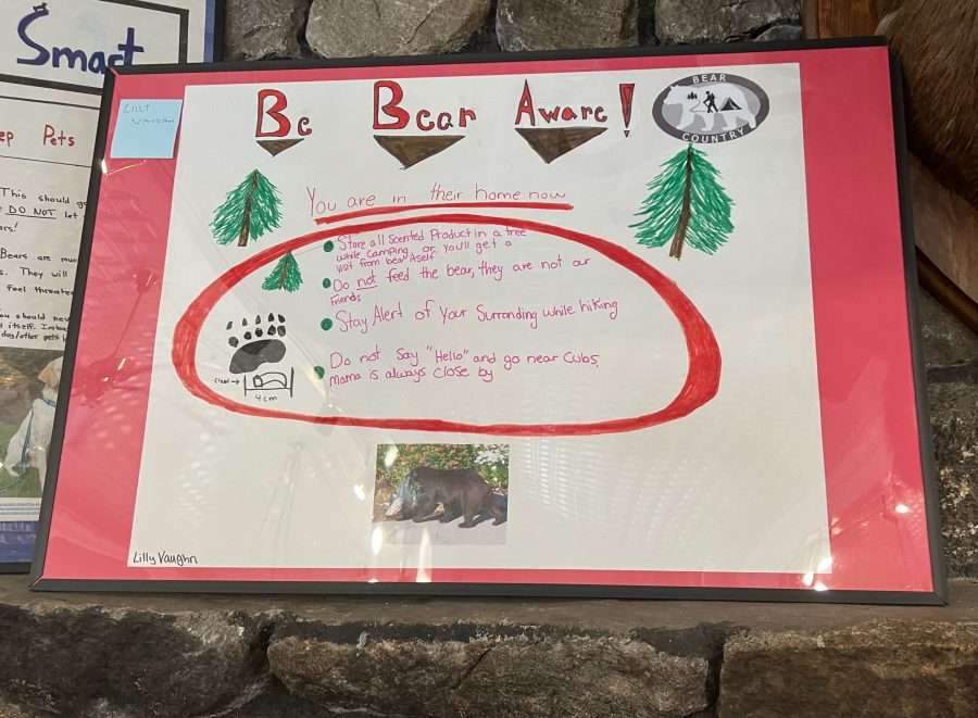 bear awareness poster