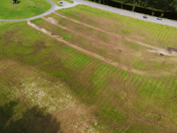marcy field
