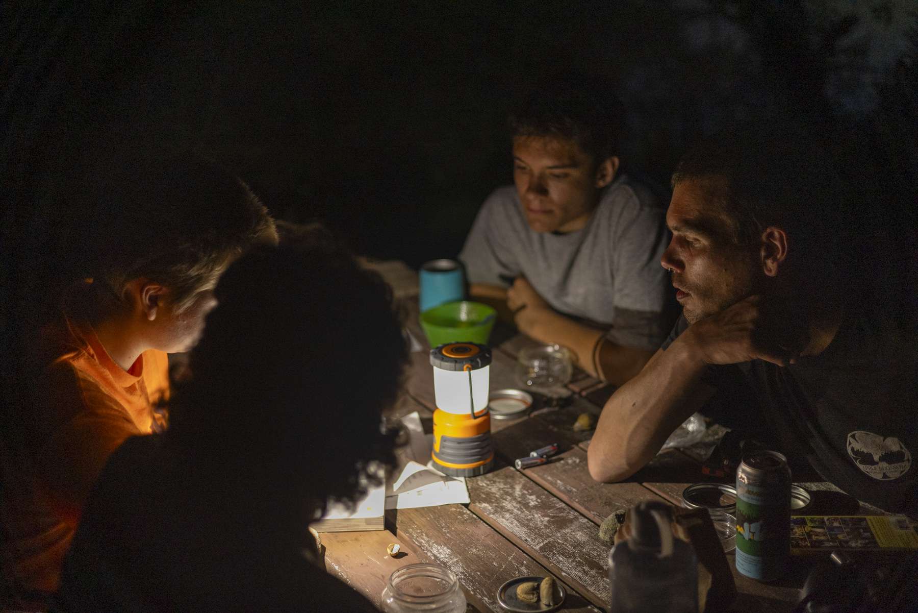 The crew, led by Will Lockwood,  discusses mushrooms after dark.  