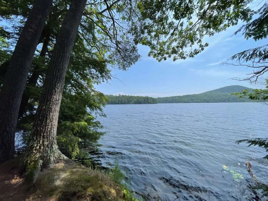 long pond shoreline