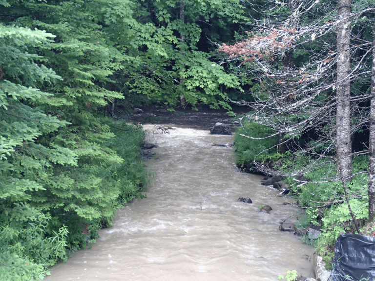 Discolored Brown Pond Brook