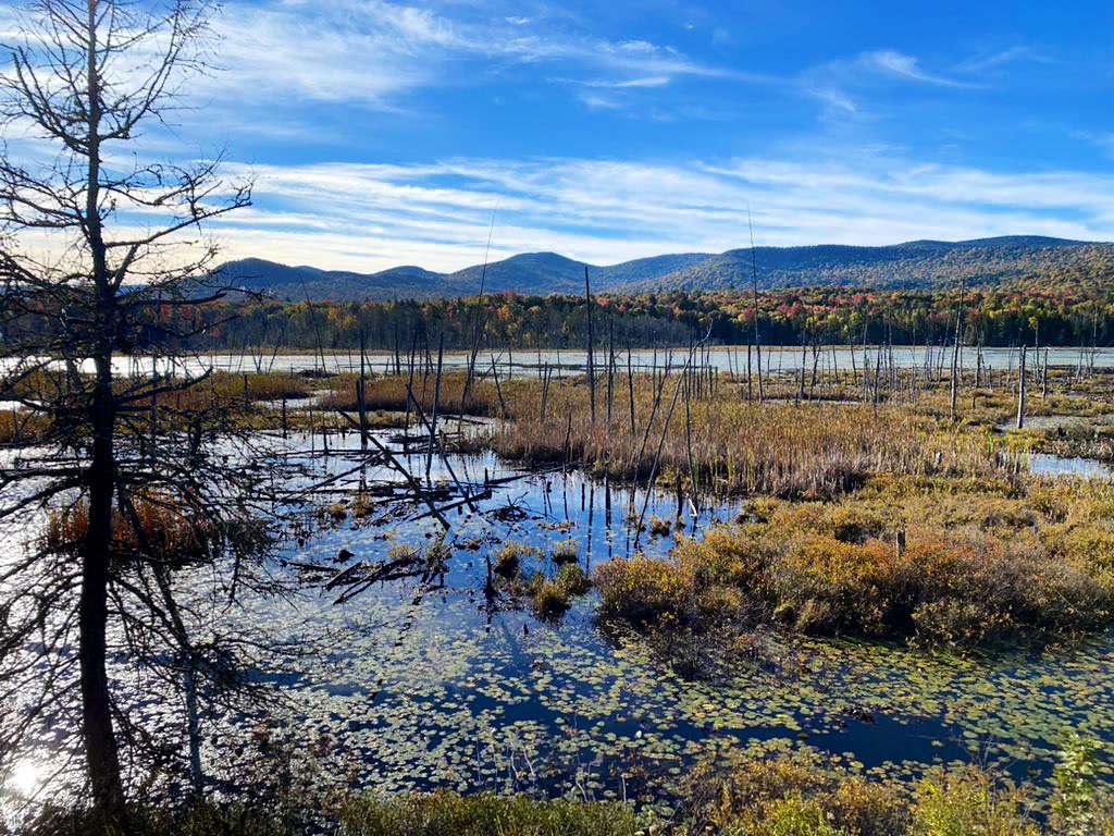 Shaw Pond in the fall of 2022.