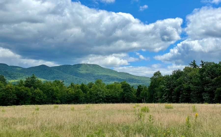 High elevation meadows in the Jay Range.
