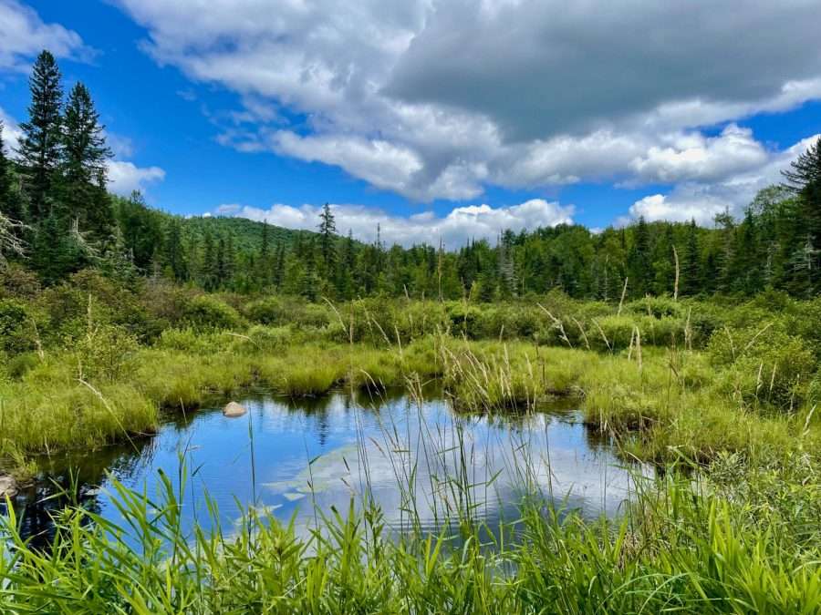 An upland pool at higher elevation