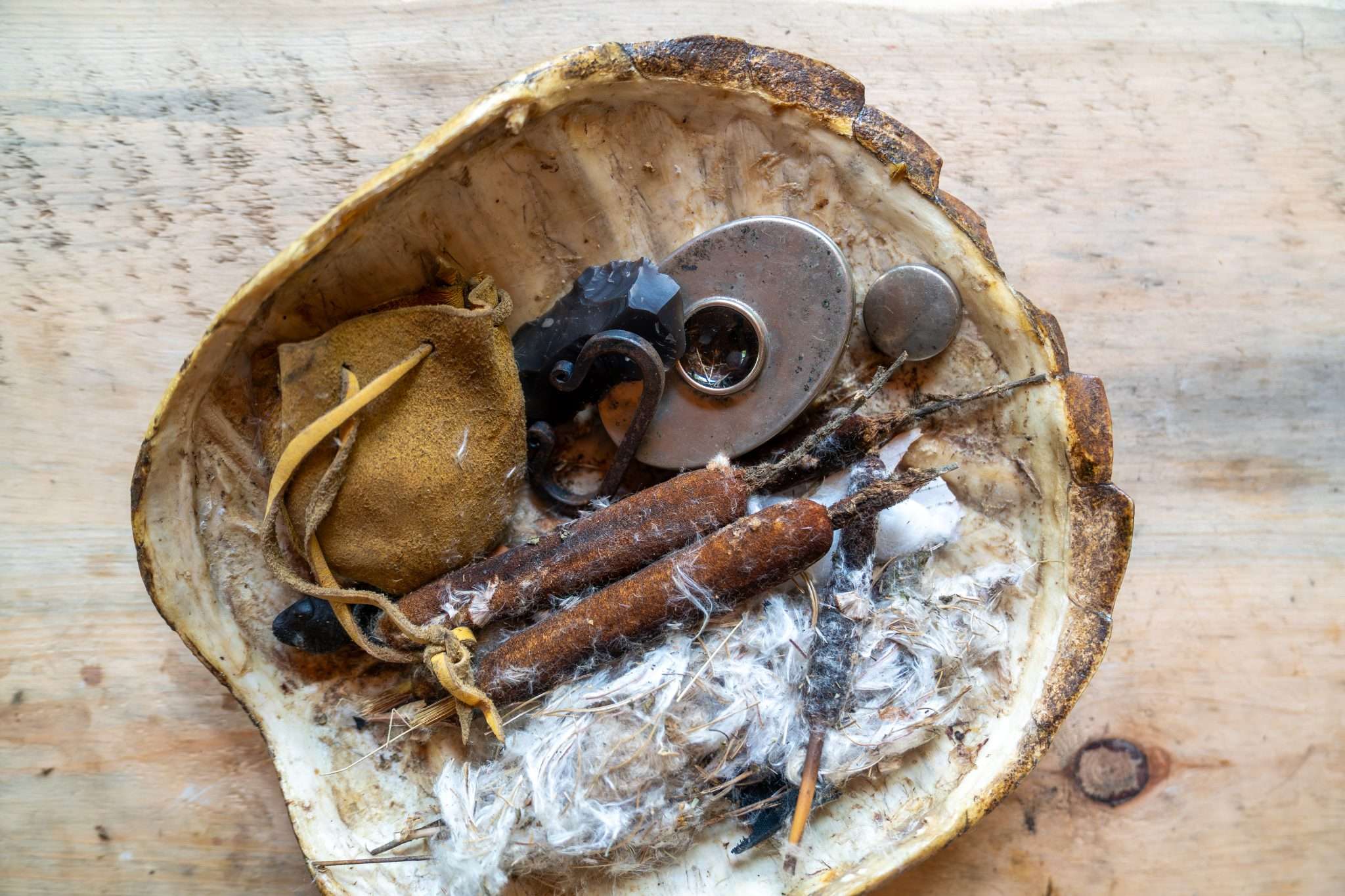 Melanie Sawyer's primitive fire starter tools and materials in a snapping turtle shell which was harvested for food. Cattail and fireweed are used with flint and steel, or the oval Hudson Bay tobacco tin which includes a Fresnel lens to concentrate the sun for fire starting.