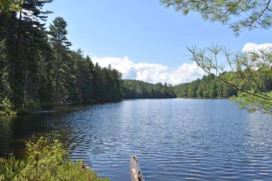 mountain pond