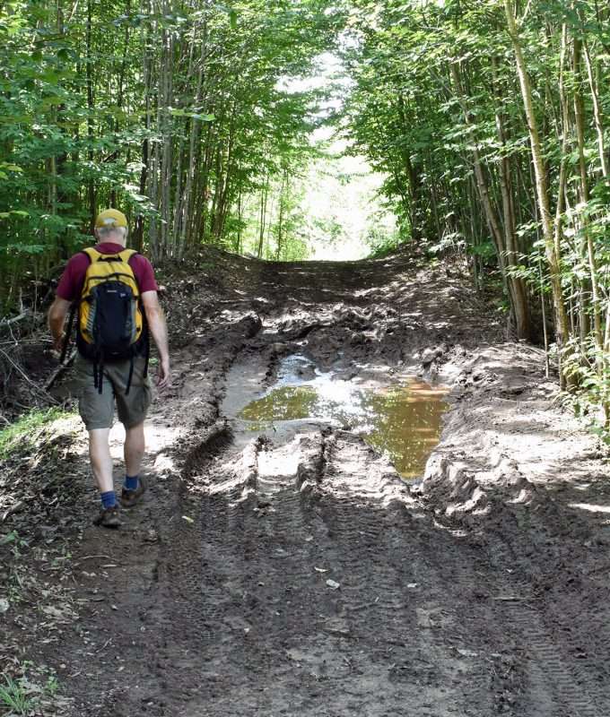 muddy trail