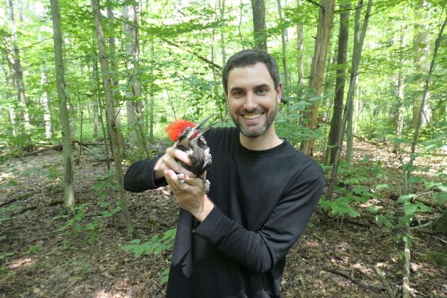 A researcher holds a woodpecker in a forest.