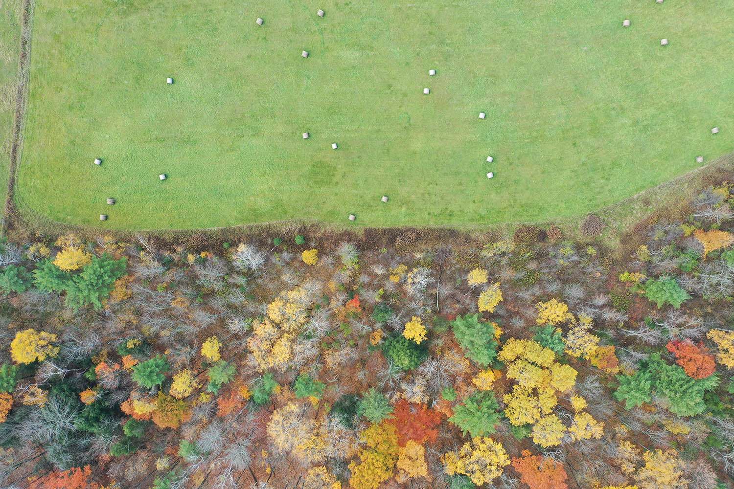 Aerial view of the field and forest at Ben Wever Farm in Willsboro, now protected by a conservation easement in partnership with the Adirondack Land Trust. Photo by Adirondack Land Trust/Becca Halter