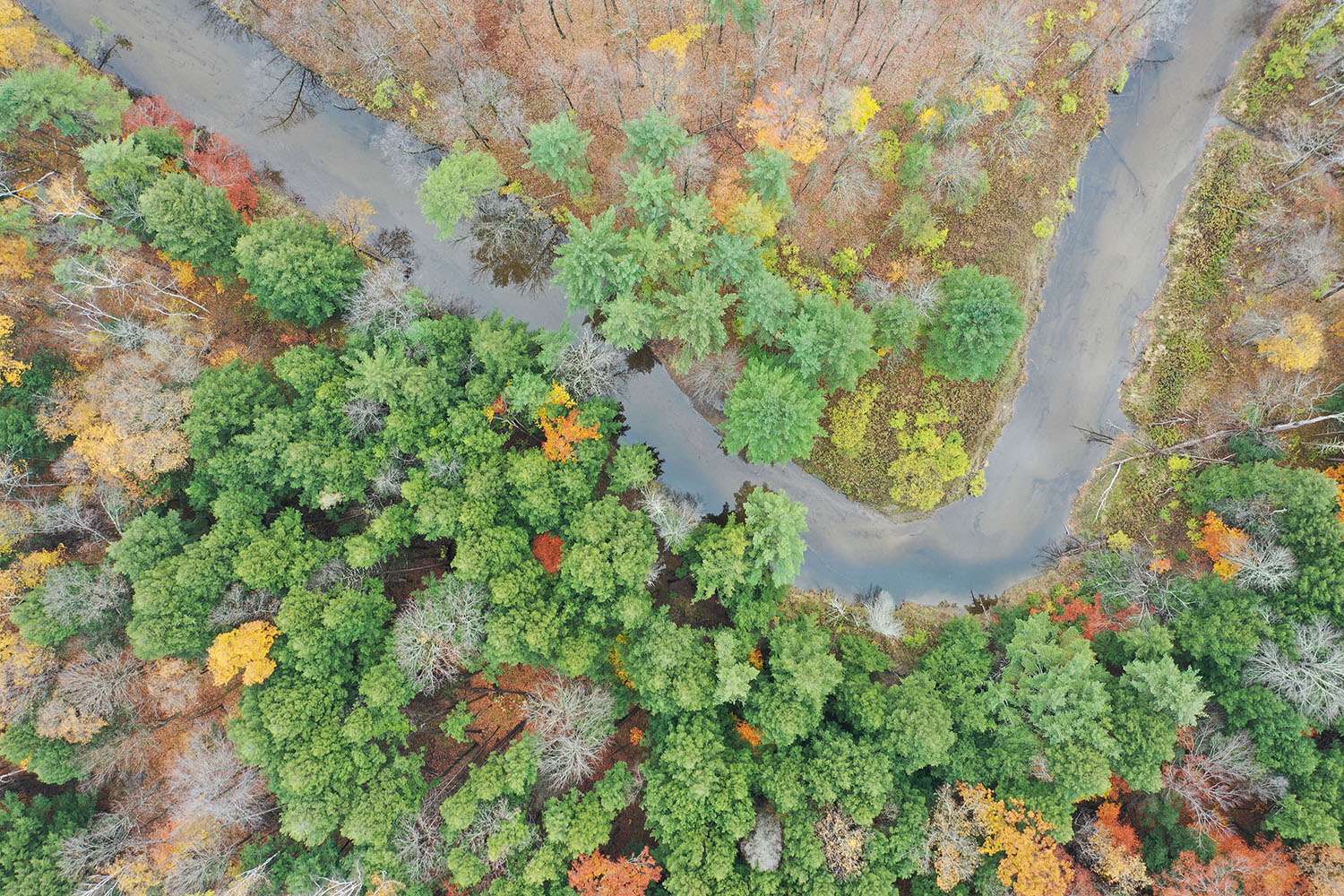 Aerial view of intact forests along the North Branch of the Boquet River on the Ben Wever Farm property, now protected by a conservation easement in partnership with the Adirondack Land Trust. © Adirondack Land Trust/Becca Halter