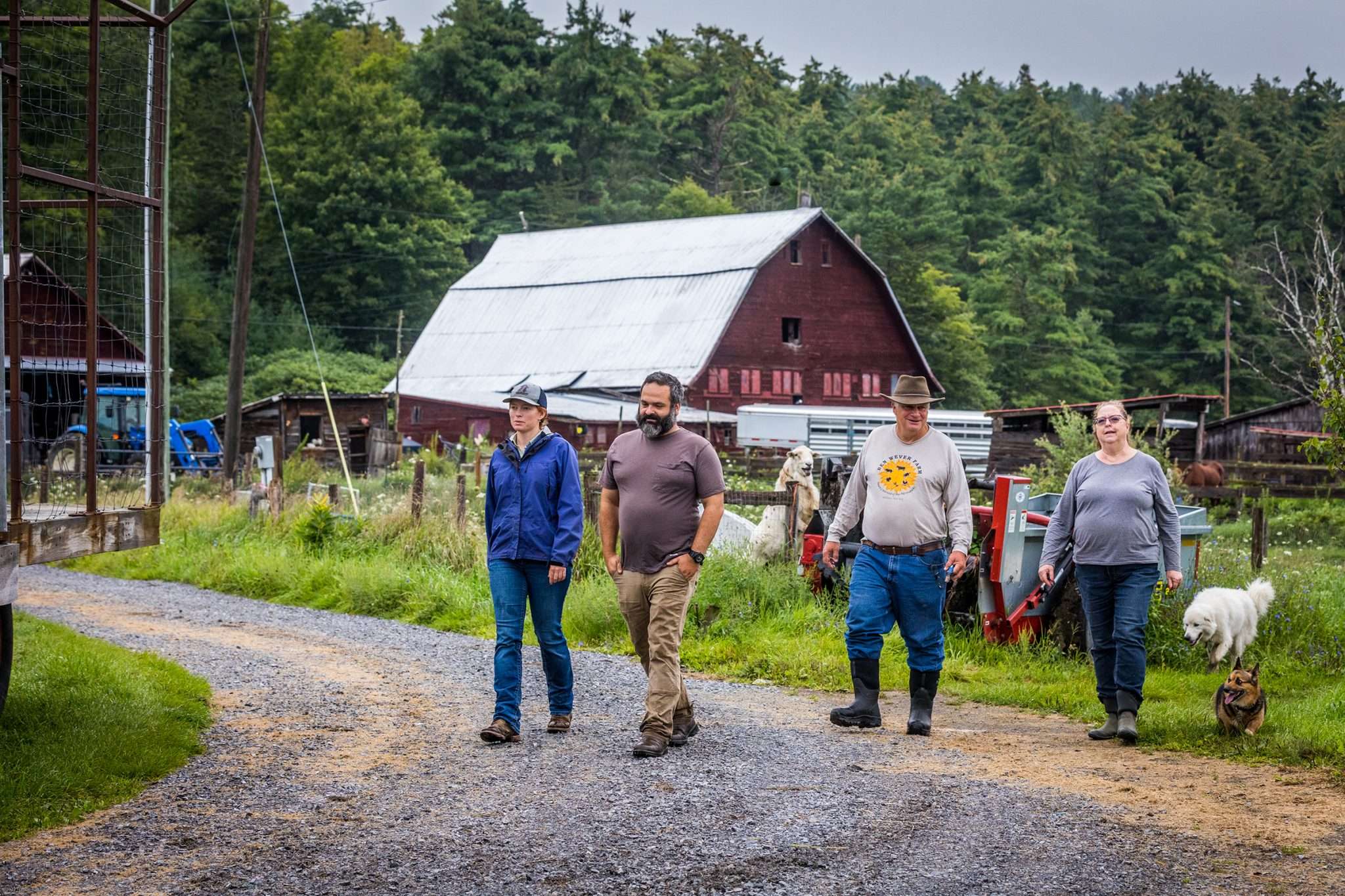 From left to right: Chauntel Gillilland, Pierre-Luc Gélineau,
Shaun Gillilland and Linda Gillilland at their Ben Wever Farm in Willsboro. Photo by Nancie Battaglia, courtesy of the Adirondack Land Trust