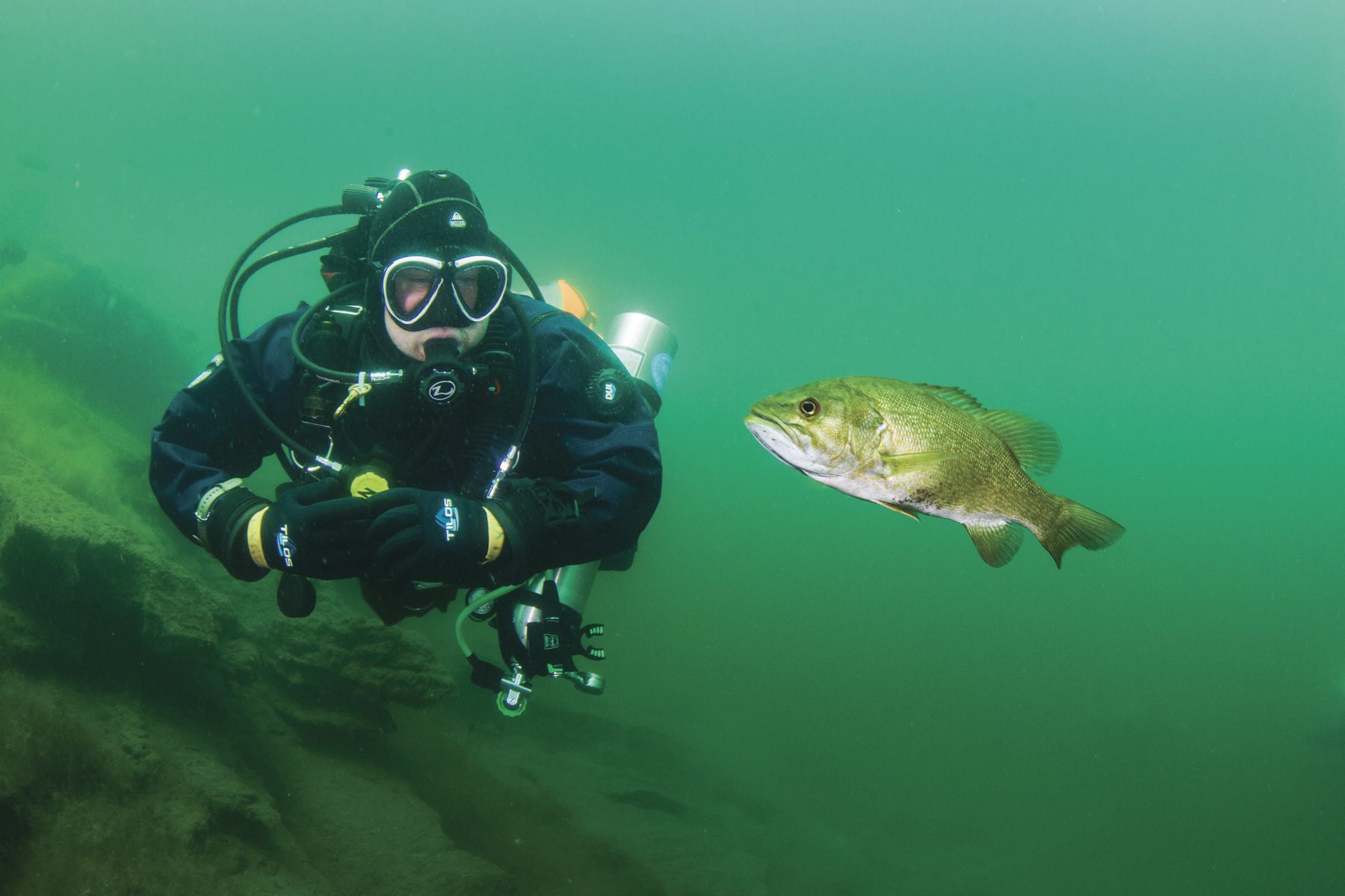 Diver Jeff Lynch of Clifton Park swims with a bass in Lake George. Photo by Andy Deitsch