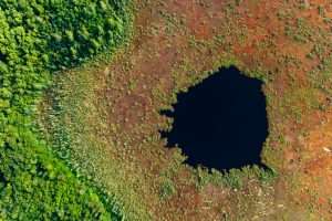 Can art encourage stewardship of North Country waters?
