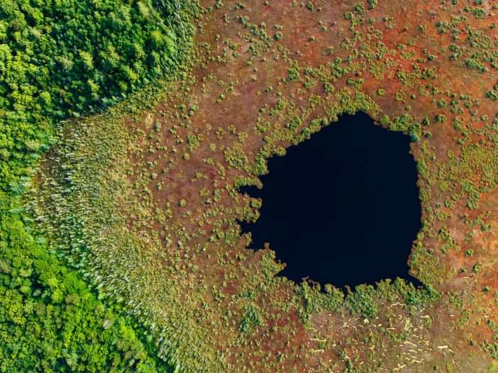 An aerial view of Spring Pond Bog in the Adirondacks