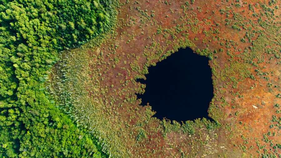 An aerial view of Spring Pond Bog in the Adirondacks