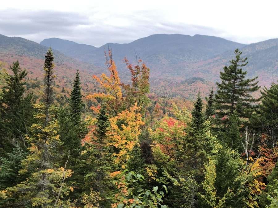 mountain in fall